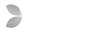 Провайдер Evolution Gaming — игры в Money X Casino